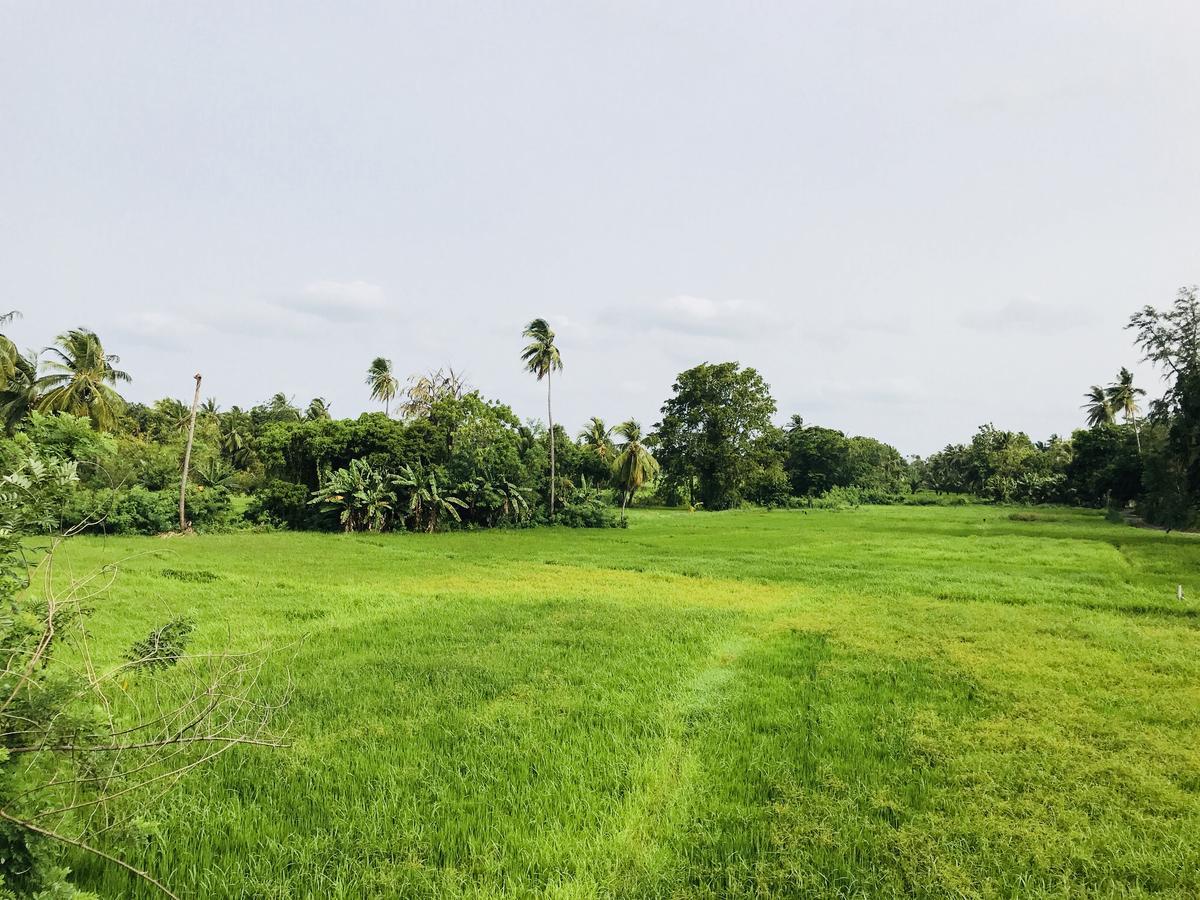 Nil Arana Resort Polonnaruwa Eksteriør billede